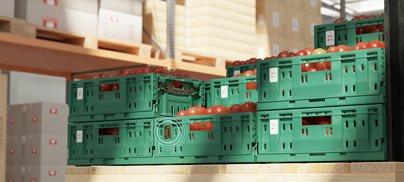 Avery Dennison, Wiliot Deepen Partnership for Ambient IoT-based Supply Chains