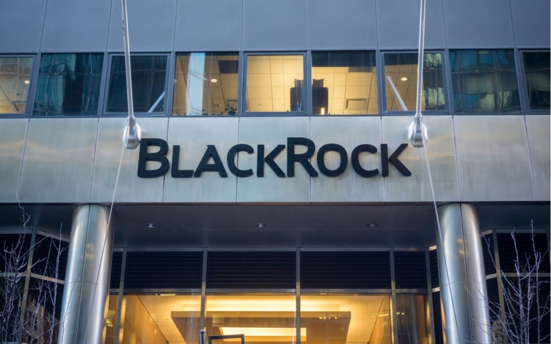 BlackRock says investors should diversify across hedge fund strategies, scrutinise leverage and overlap, and rethink portfolio protection.