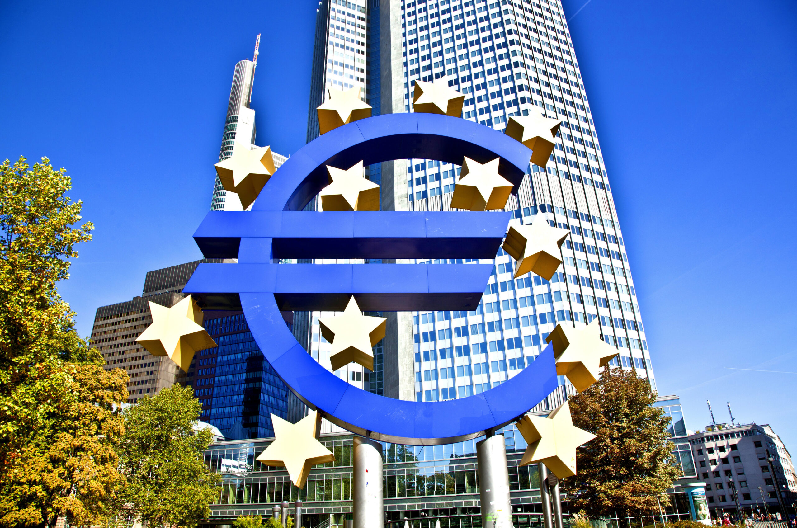 The European Central Bank (ECB)