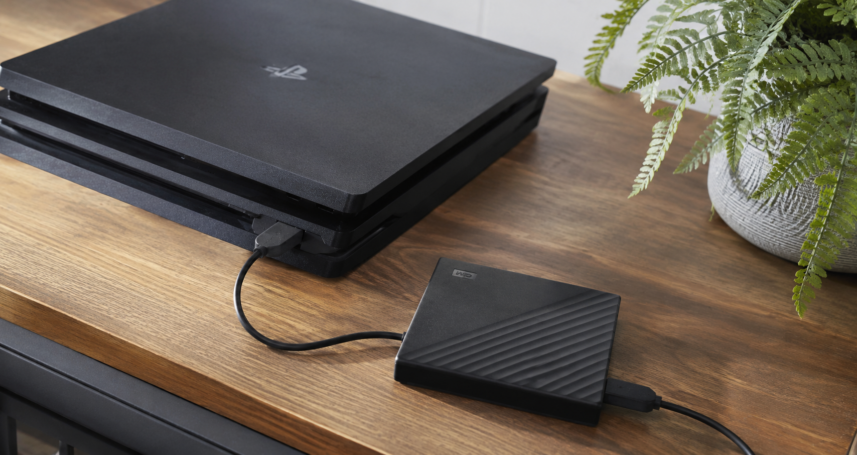 western digital stock ripe for near term pullback