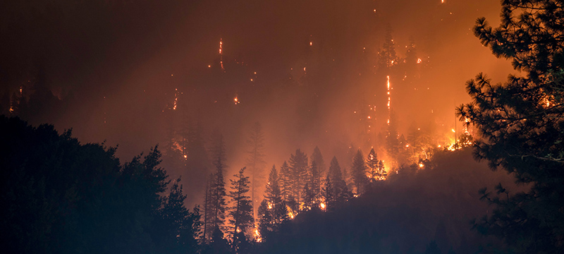 Critical tech vulnerable in european heatwave – How can organisations ensure resilience?