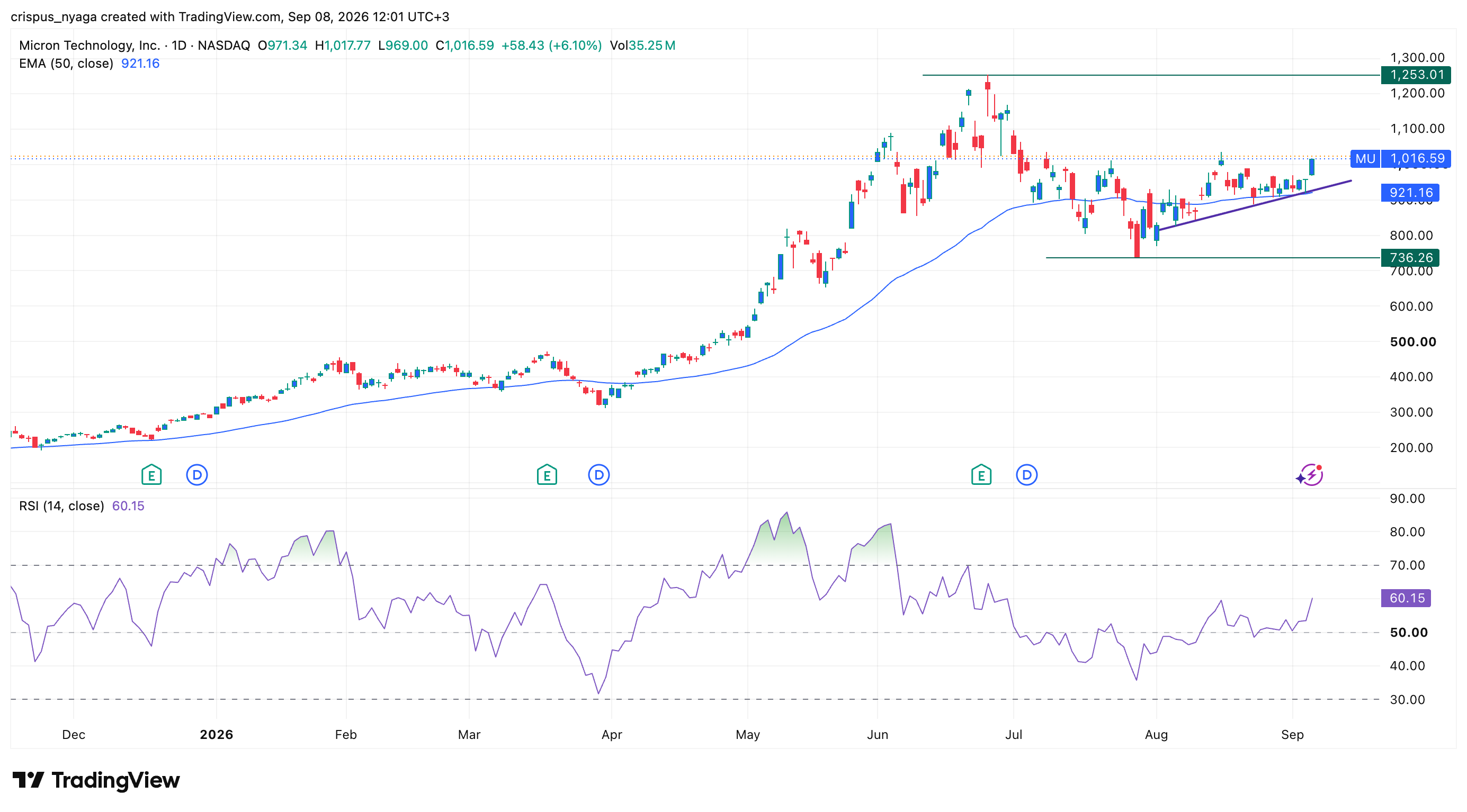micron stock