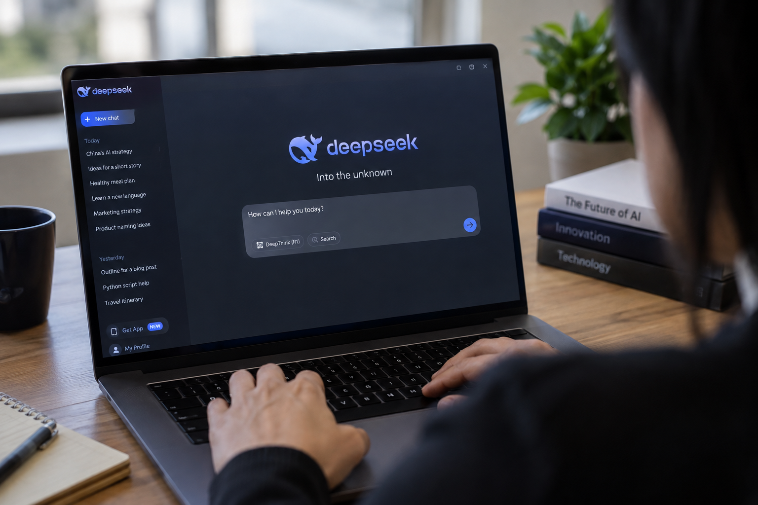 A person using DeepSeek model on a computer