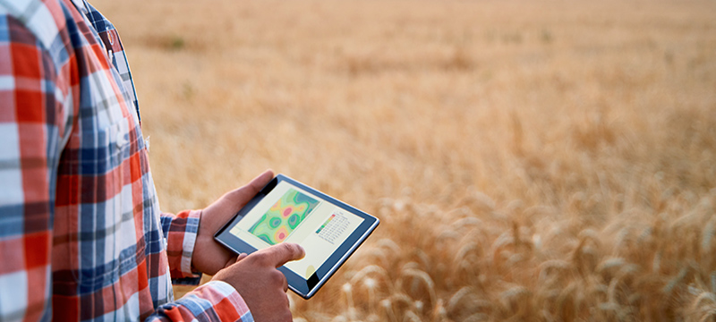 12 Best Agriculture Software Development Companies for Agribusinesses